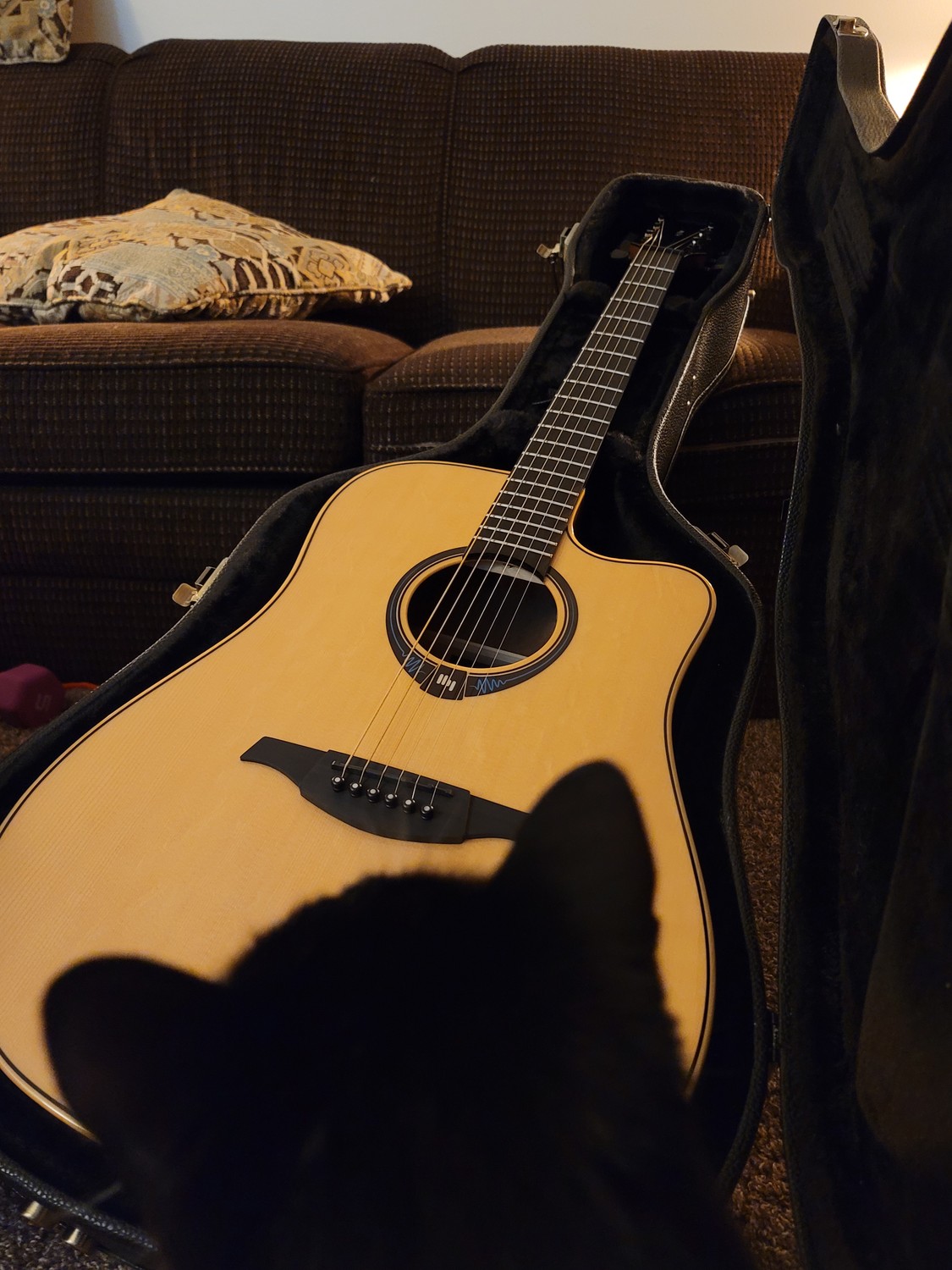 A new acoustic guitar in its open case, a cat inspecting it